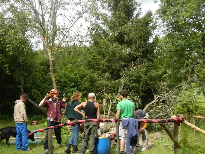 Eine Gruppe arbeitet zwischen Bäumen an einer Holzkonstruktion.