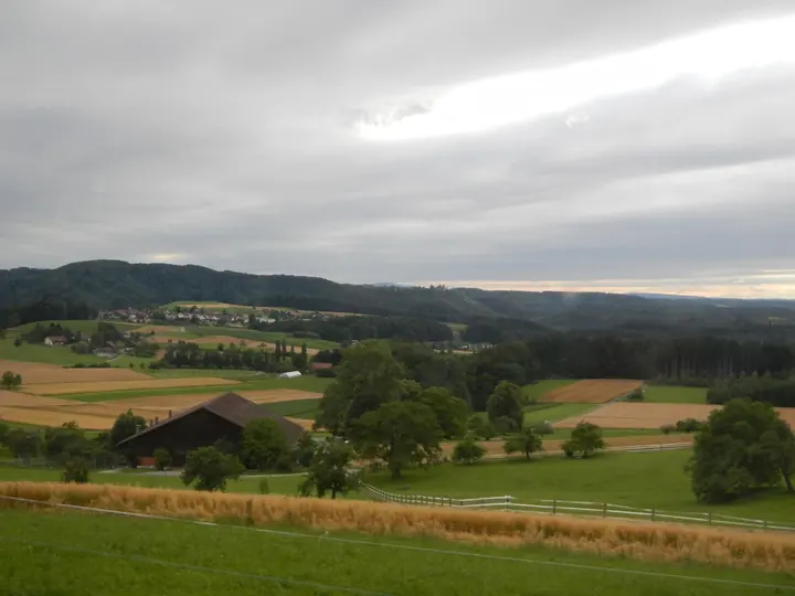 Blick über Felder und Hügel unter bewölktem Himmel.
