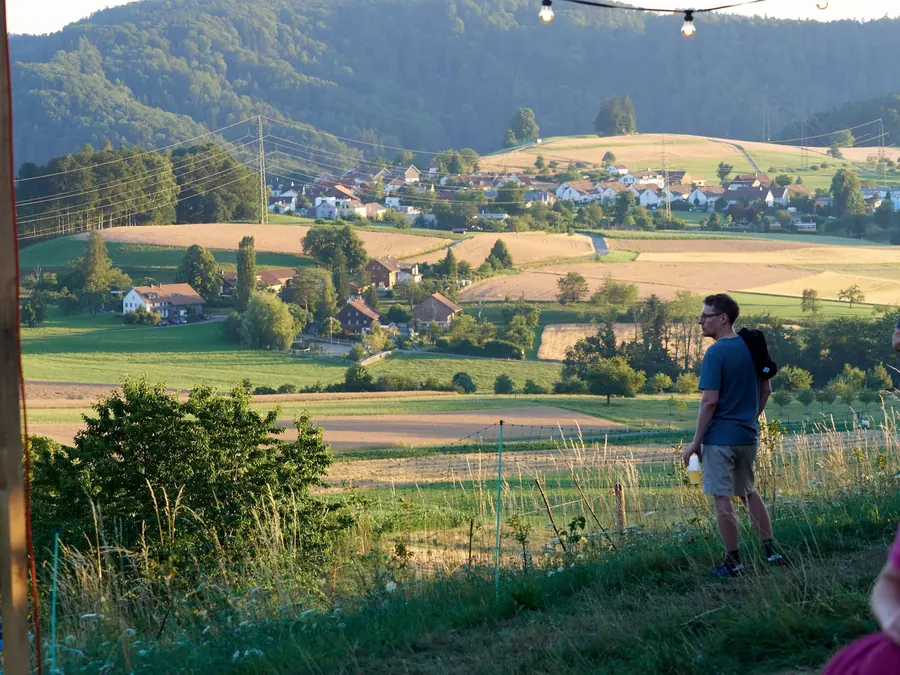 Eine Person blickt vom Hulmen über Felder und Eidberg.